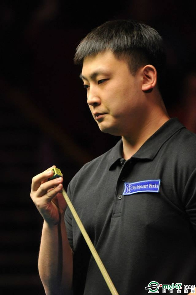 国家主导 国家主导