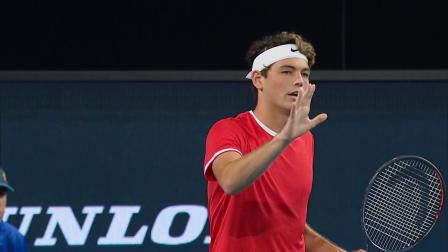 闹的羽毛球 闹的羽毛球